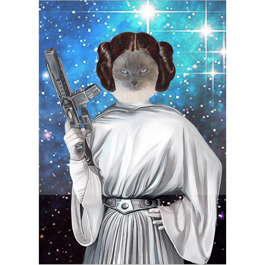 Princess Leia Kitty